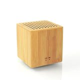 Portable Speaker